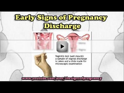 Are You Having Any Signs of Pregnancy?